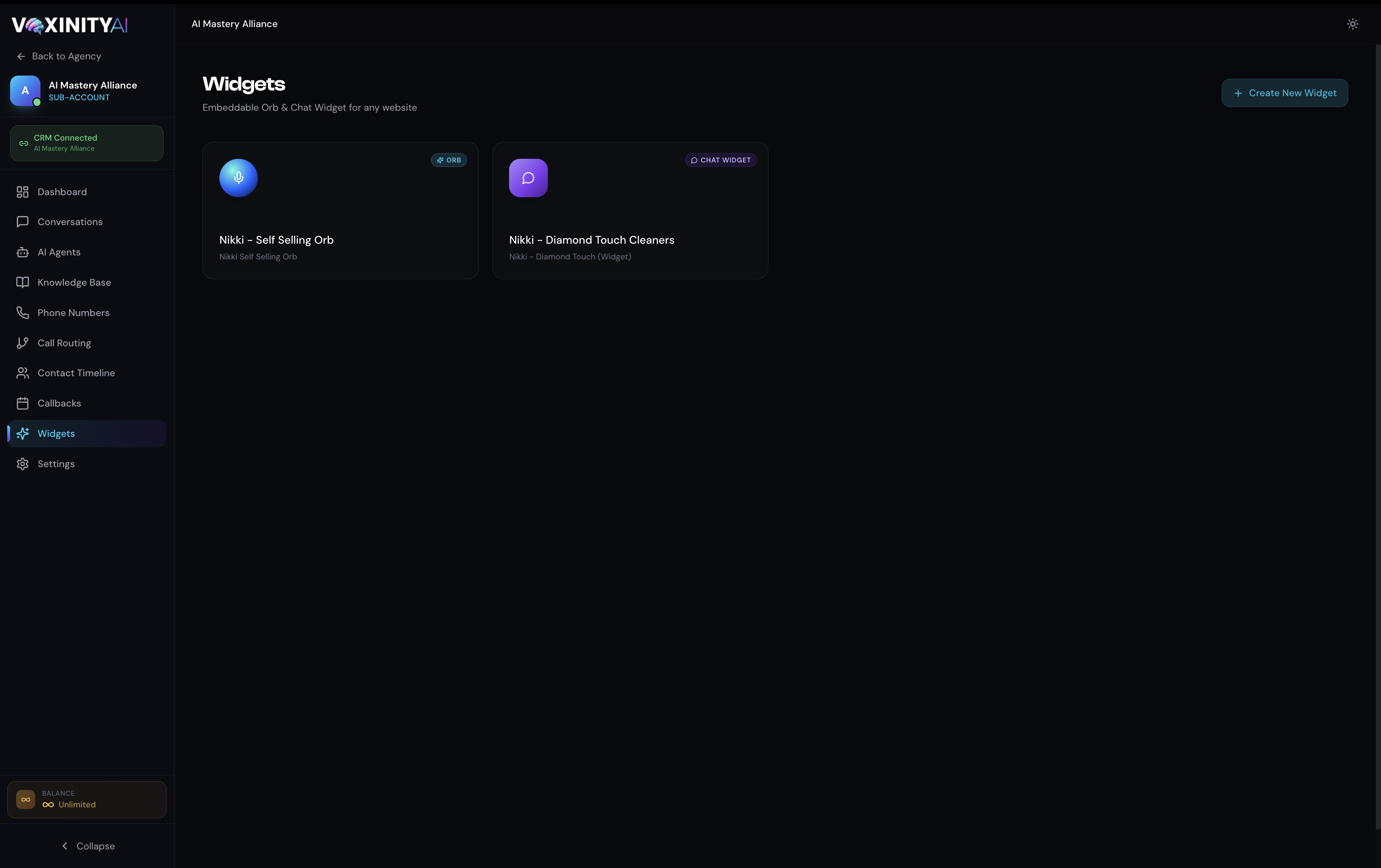 Voxinity Widgets page showing two saved widgets — an Orb and a Chat Widget — with a Create New Widget button in the top-right